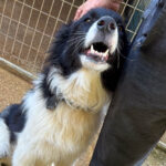 20250805-fotos-ledo-3