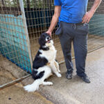 20250805-fotos-ledo-4