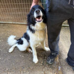 20250805-fotos-ledo-6