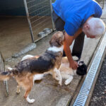 20250805-fotos-ledo-7