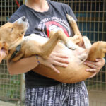 20250806-fotos-bark-02