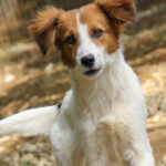 20250806-fotos-friedrich-1