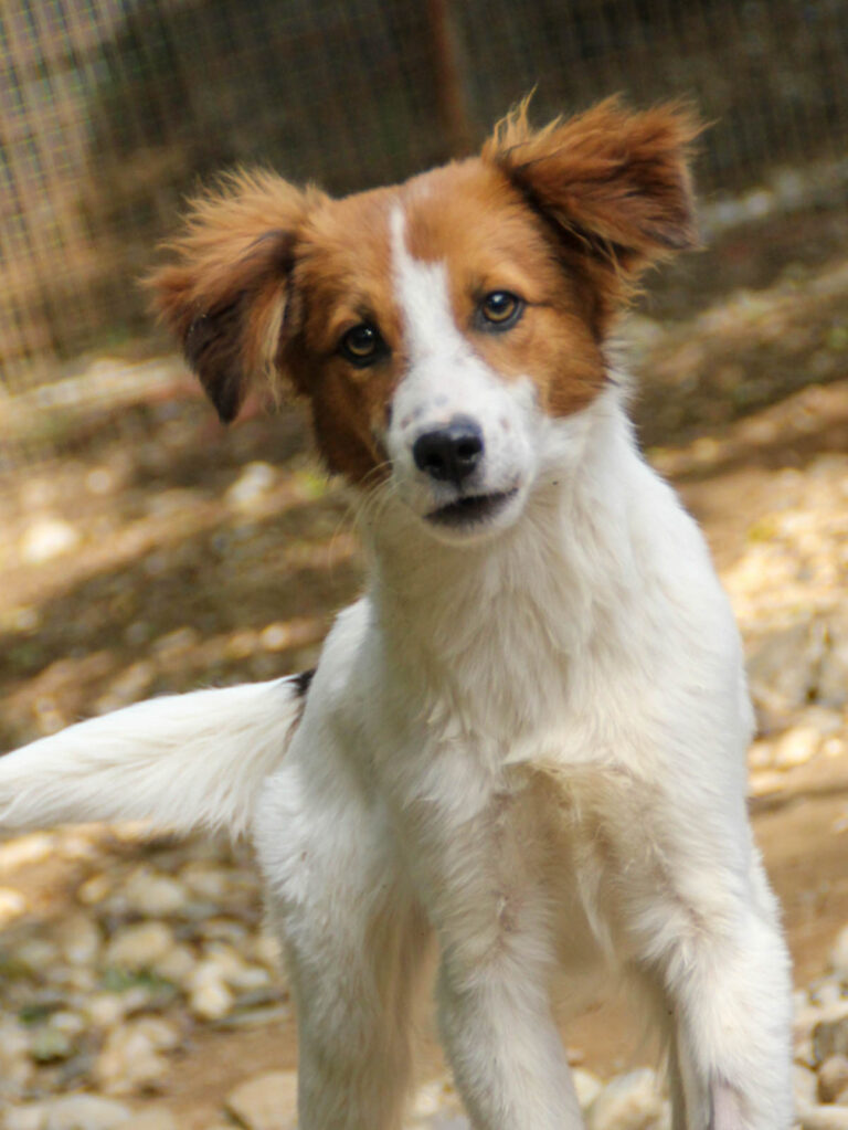 20250806-fotos-friedrich-1