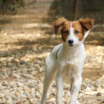 20250806-fotos-friedrich-2