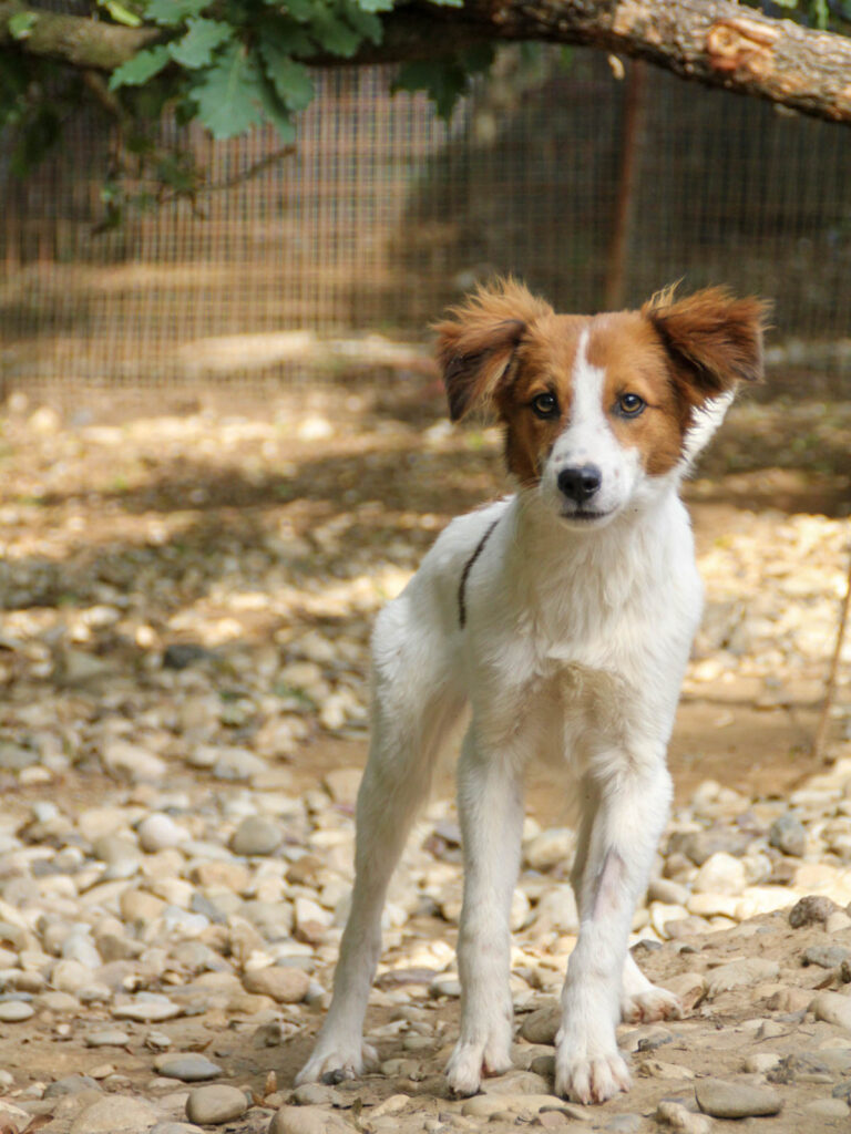 20250806-fotos-friedrich-2