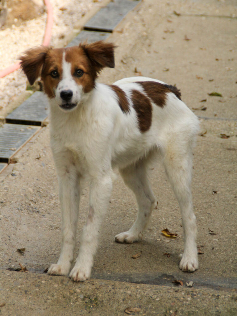 20250806-fotos-friedrich-3