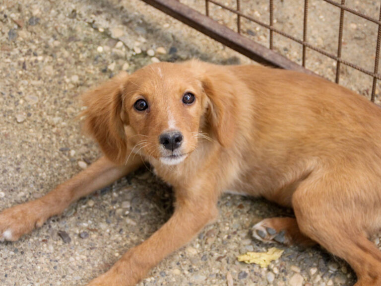 20250806-fotos-igor-6