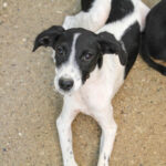 20250806-fotos-ilias-01