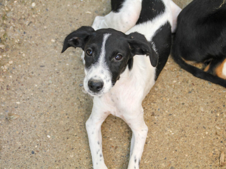 20250806-fotos-ilias-01