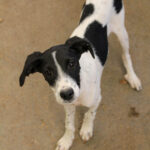 20250806-fotos-ilias-02