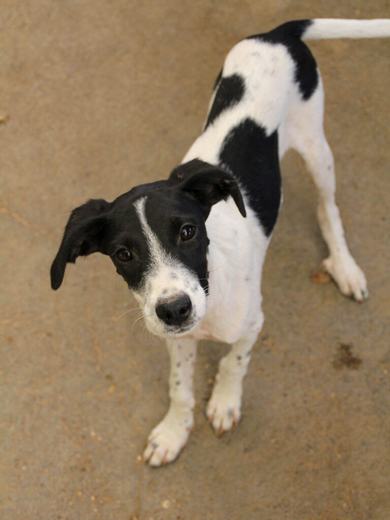 20250806-fotos-ilias-02