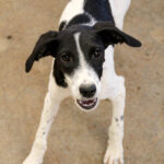 20250806-fotos-ilias-03