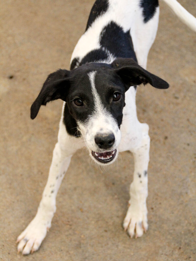 20250806-fotos-ilias-03