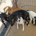 20250806-fotos-ilias-04