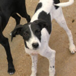 20250806-fotos-ilias-05