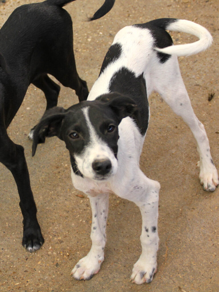 20250806-fotos-ilias-05