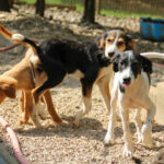 20250806-fotos-ilias-06