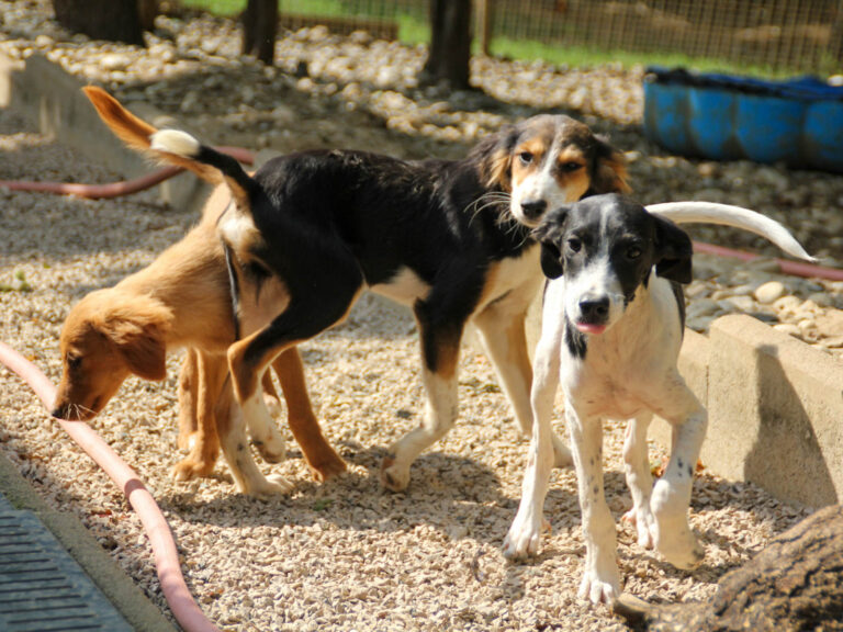 20250806-fotos-ilias-06