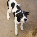 20250806-fotos-ilias-07