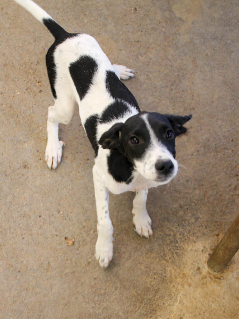 20250806-fotos-ilias-07