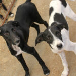 20250806-fotos-ilias-08