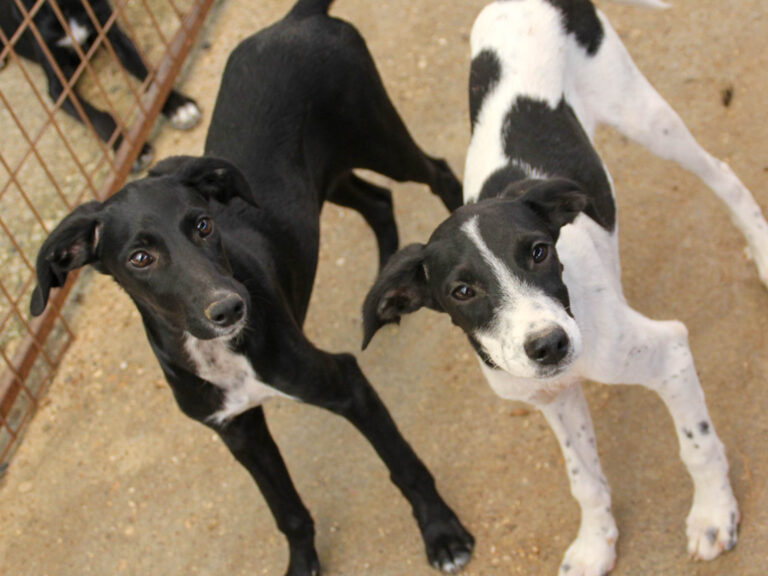 20250806-fotos-ilias-08