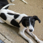 20250806-fotos-ilias-09