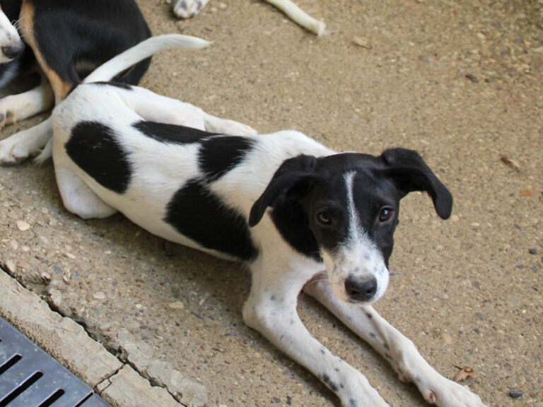 20250806-fotos-ilias-09