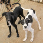 20250806-fotos-ilias-12