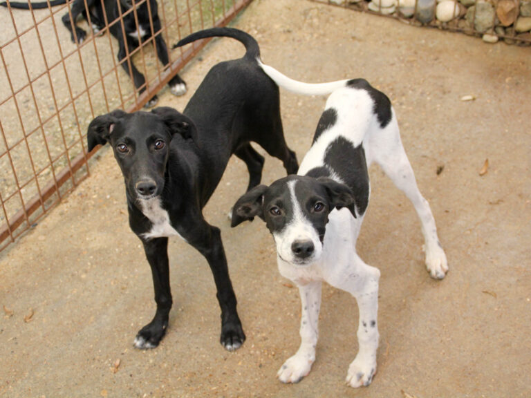 20250806-fotos-ilias-12