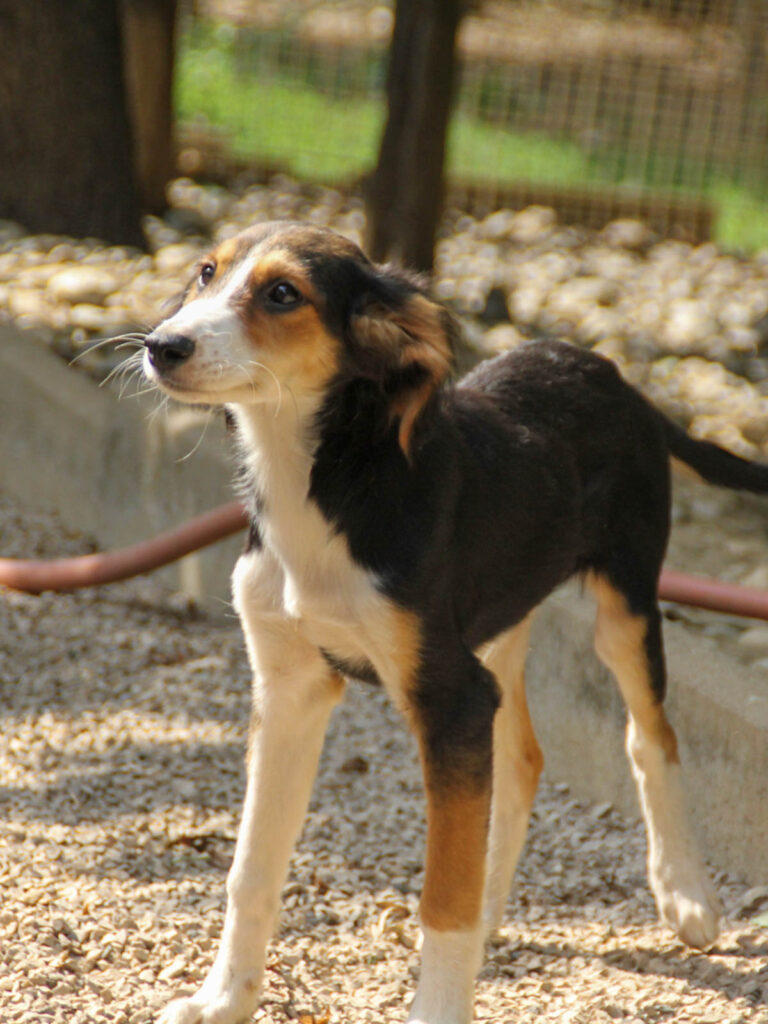 20250806-fotos-ilon-1