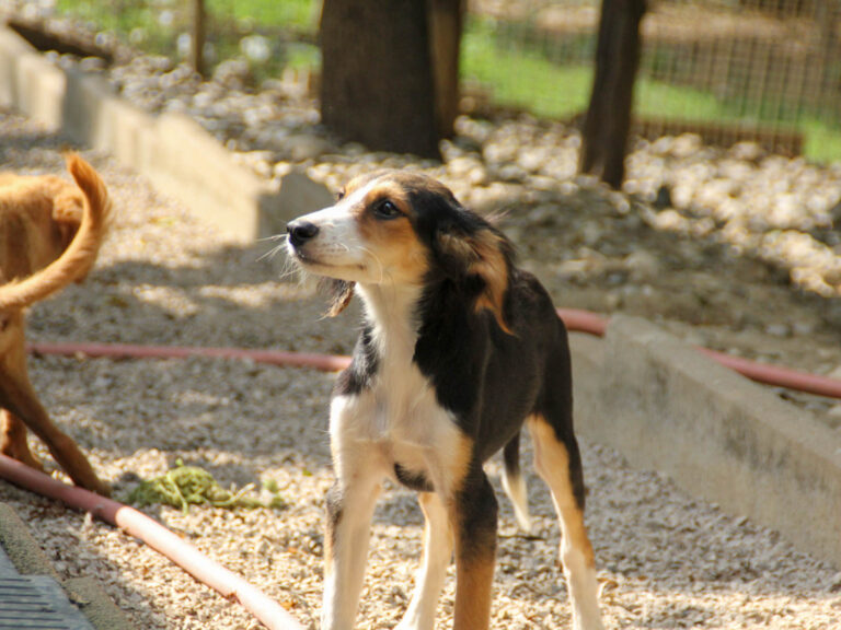 20250806-fotos-ilon-2