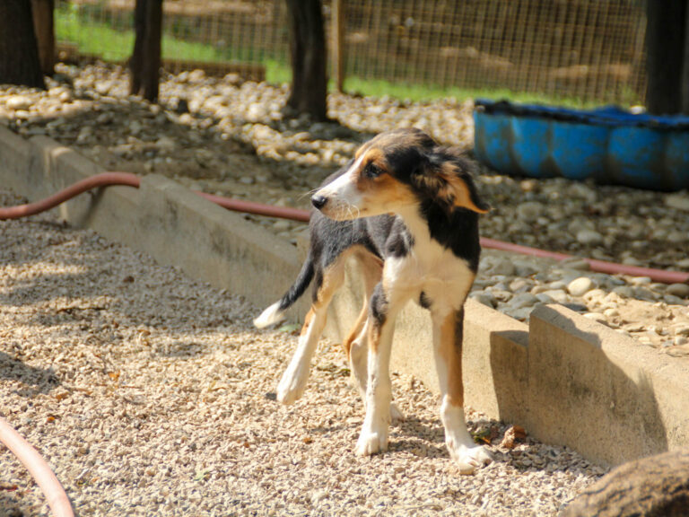 20250806-fotos-ilon-3