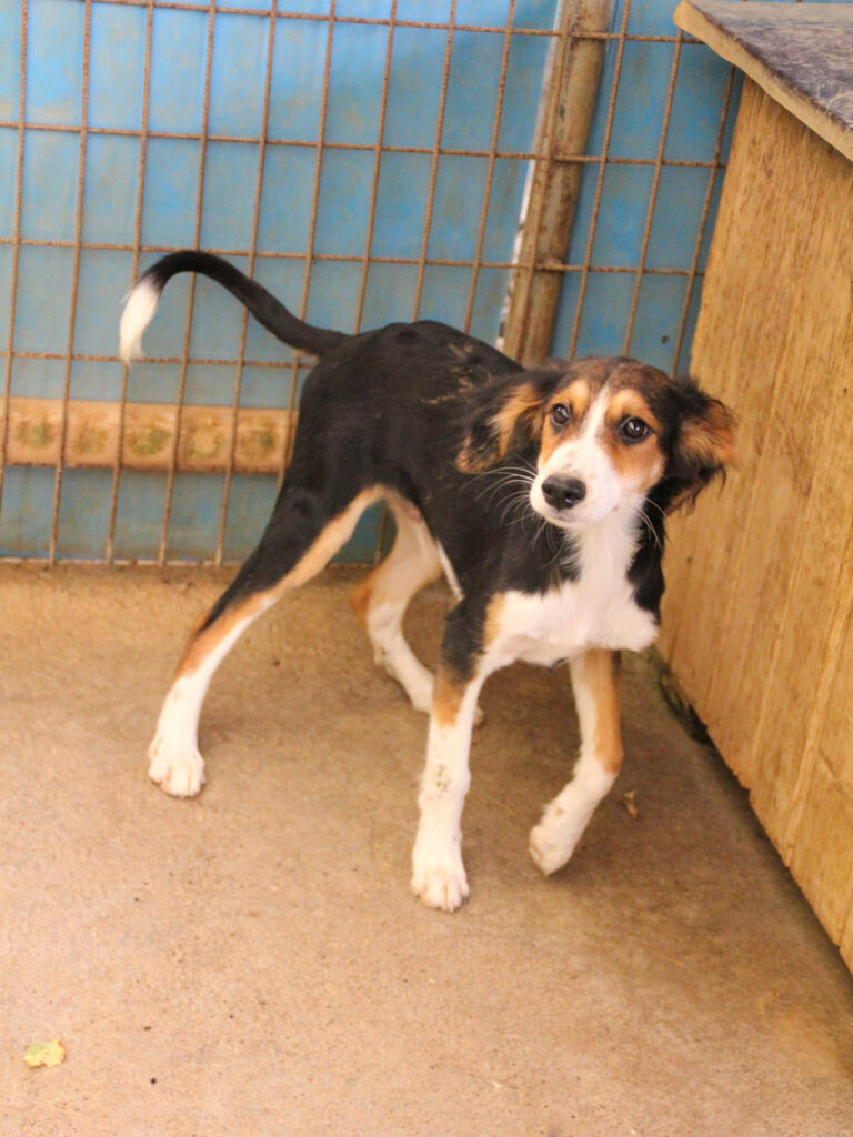 20250806-fotos-ilon-4