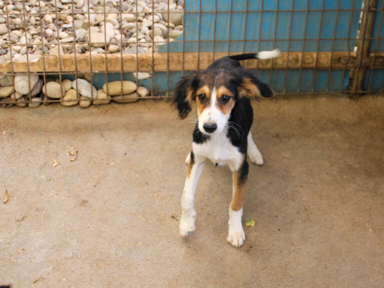 20250806-fotos-ilon-5