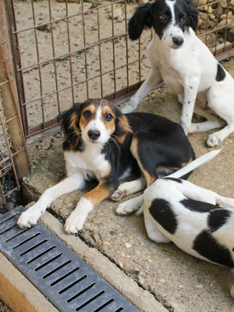 20250806-fotos-ilon-9