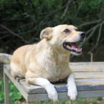 20250806-fotos-inessa-02