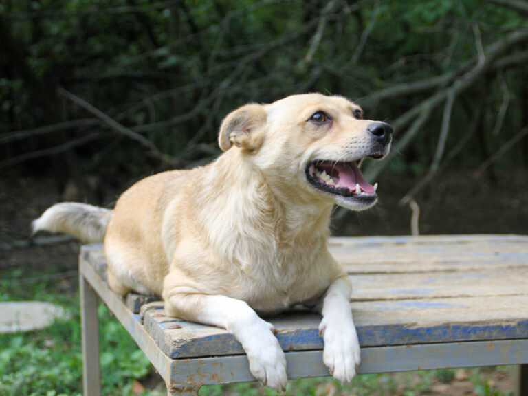 20250806-fotos-inessa-02