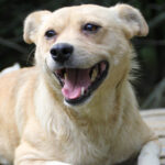 20250806-fotos-inessa-03