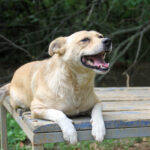 20250806-fotos-inessa-05