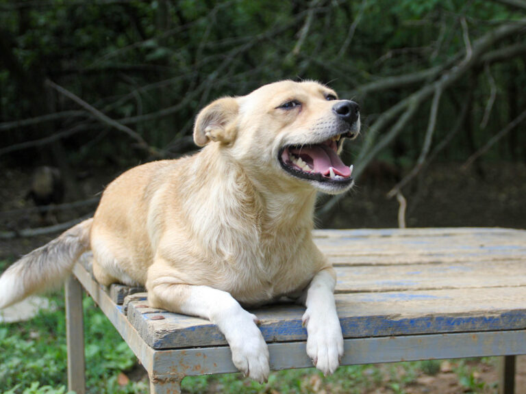 20250806-fotos-inessa-05