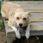 20250806-fotos-inessa-06