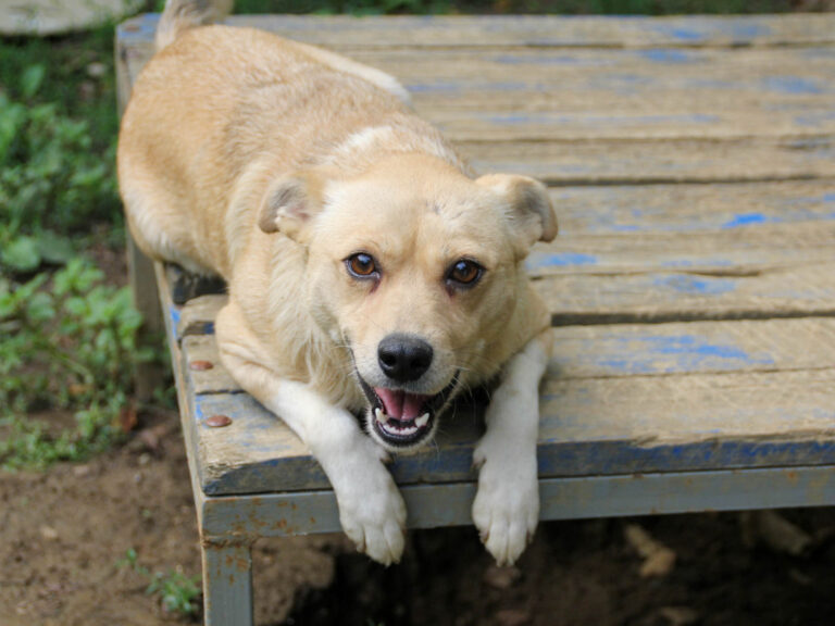 20250806-fotos-inessa-06