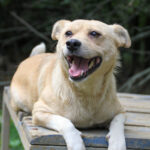 20250806-fotos-inessa-08