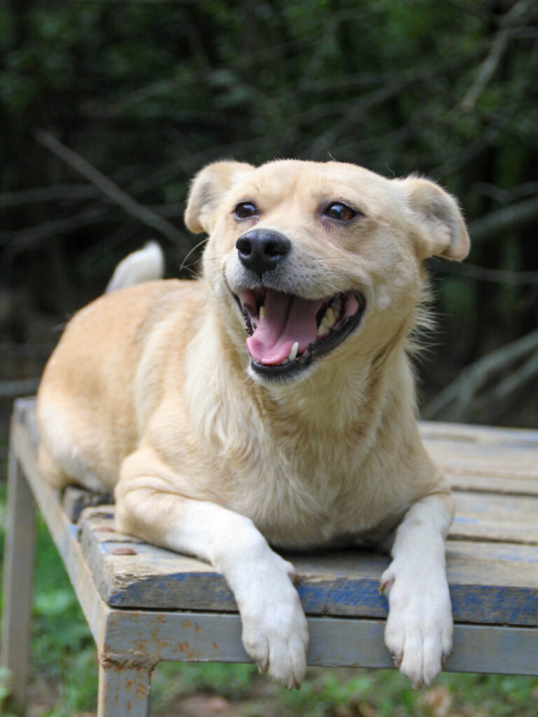 20250806-fotos-inessa-08