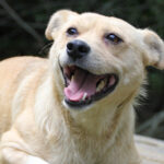 20250806-fotos-inessa-11