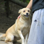 20250806-fotos-inessa-12