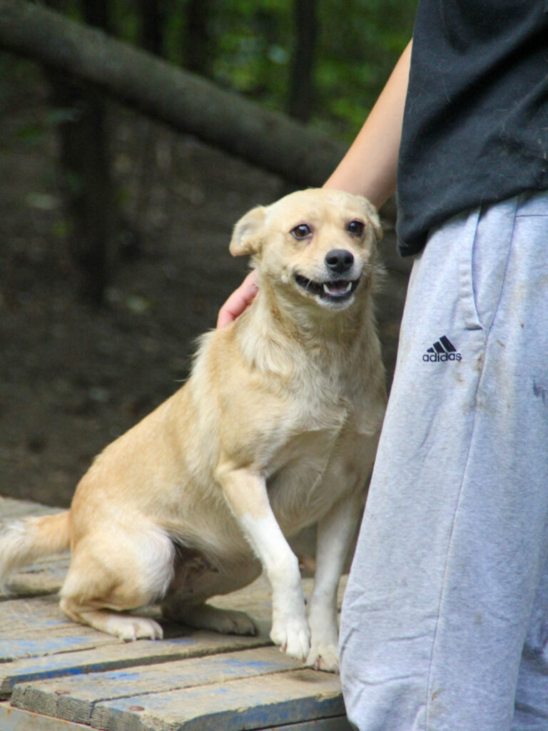 20250806-fotos-inessa-12