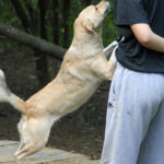 20250806-fotos-inessa-13