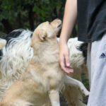 20250806-fotos-inessa-17